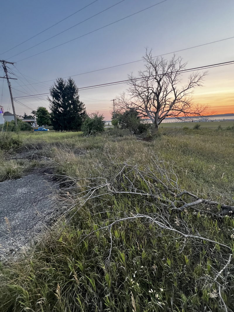 Traverse Drive-In Theatre - Aug 21 2024 (newer photo)